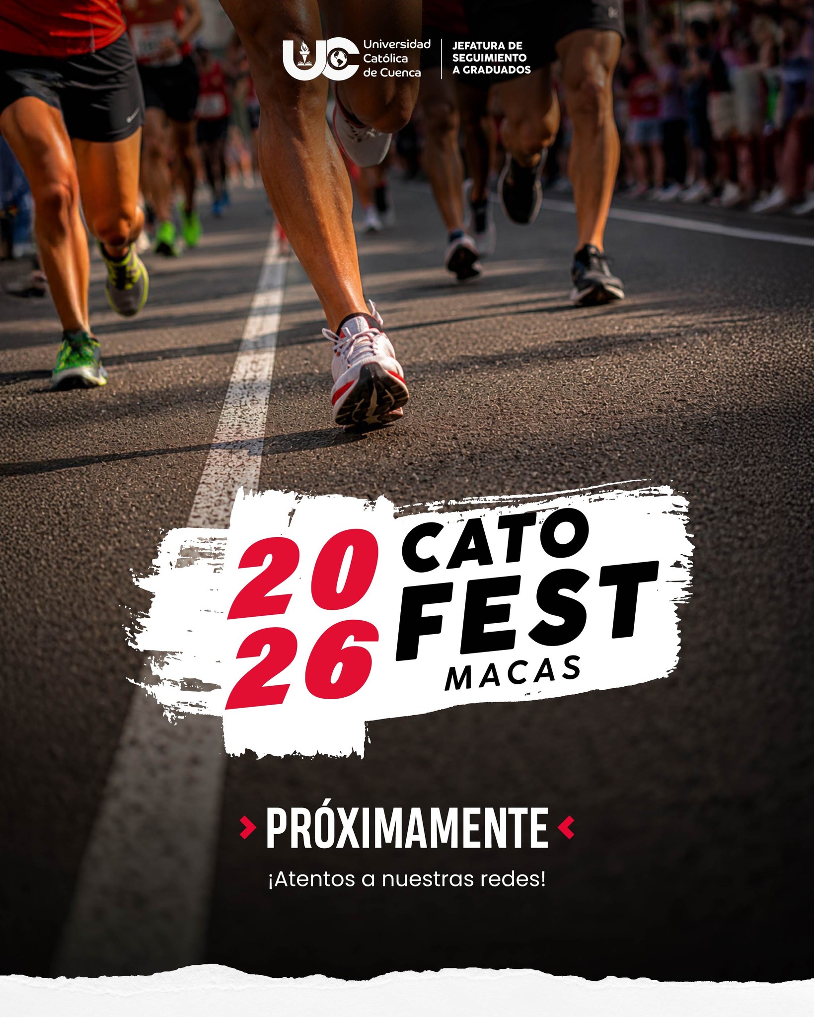 cato_fest_2026