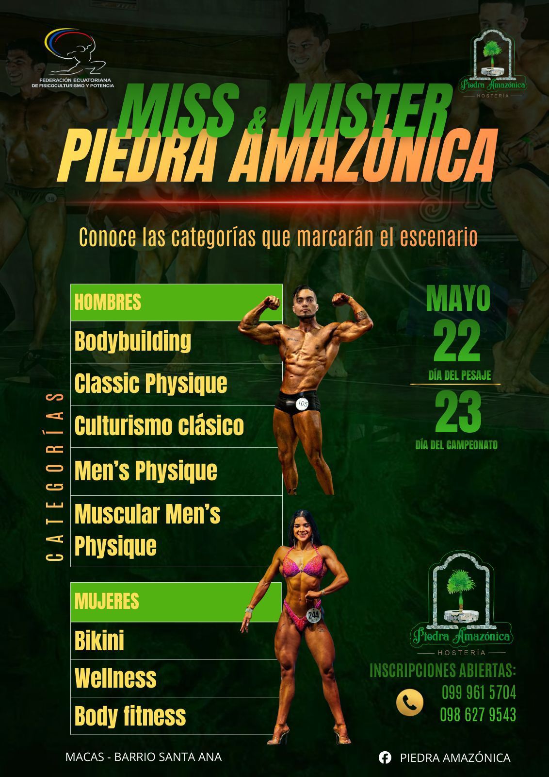 mister_piedra_amazonica